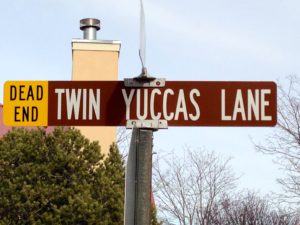 Twin Yuccas