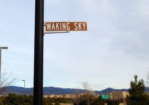 Waking Sky